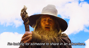 The Hobbit Im Looking For Someone To Share In GIF - Find & Share on GIPHY