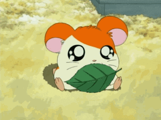 Happy Hamster GIF - Find & Share on GIPHY