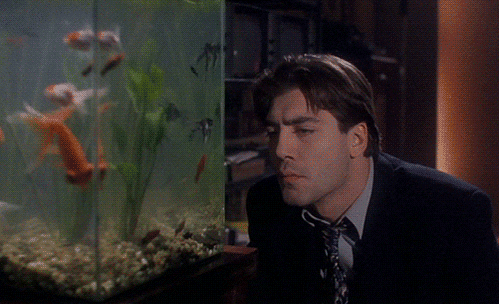 Javier Bardem Fish GIF - Find & Share on GIPHY