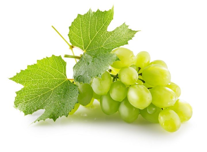 Grapes (Image Courtesy: Shutterstock)