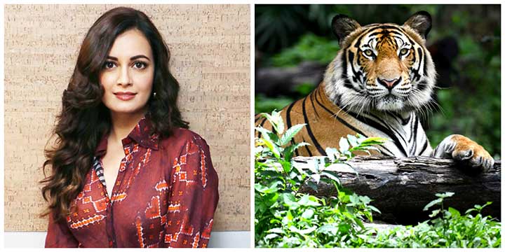 Dia Mirza Just Made India’s First Wildlife Anthem Just In Time For Independence Day!
