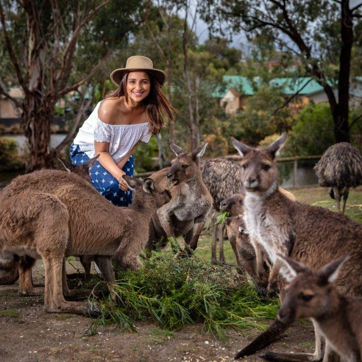 PHOTOS: Parineeti Chopra’s Trip To Australia Is Every Traveller’s Envy!