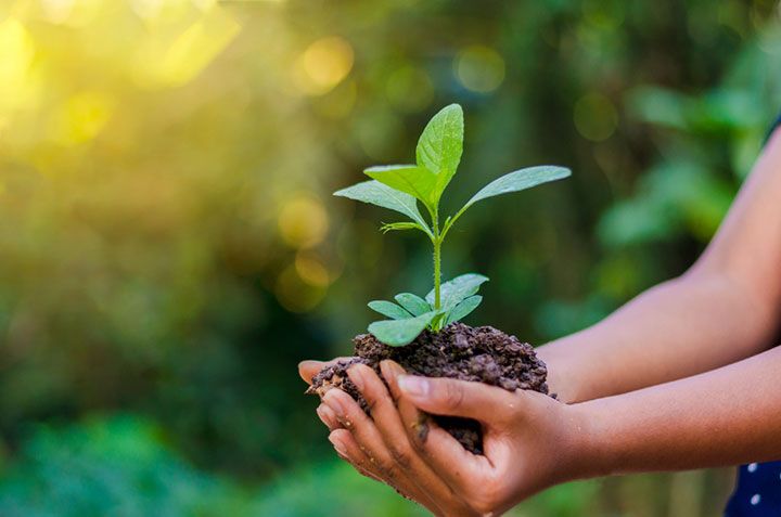 World Environment Day (Image Courtesy: Shutterstock)