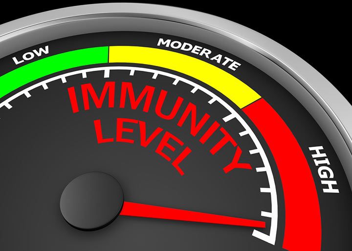 Immunity (Image Courtesy: Shutterstock)