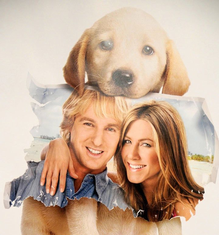 Marley And Me (Image Courtesy: Shutterstock)