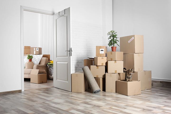 7 Things You Should Do Before Moving Into Your New House