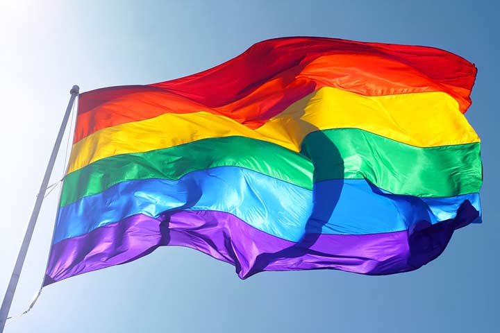 Six-Colour Pride Flag (Image Courtesy: Shutterstock)
