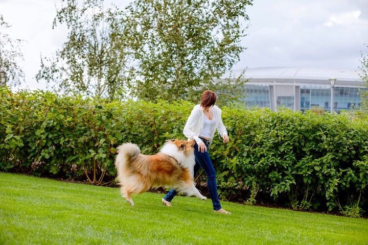 Woman Playing With Her Dog (Image Courtesy: Shutterstock)