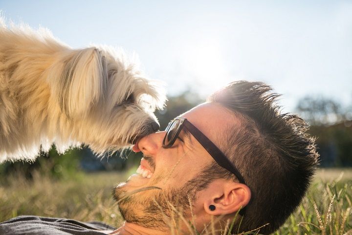 Man Playing With His Dog (Image Courtesy: Shutterstock)