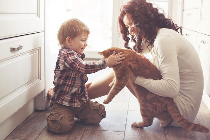 A Mother And Her Baby Playing With A Cat (Image Courtesy: Shutterstock)