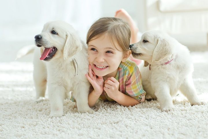 Kid Playing With Two Puppies (Image Courtesy: Shutterstock)