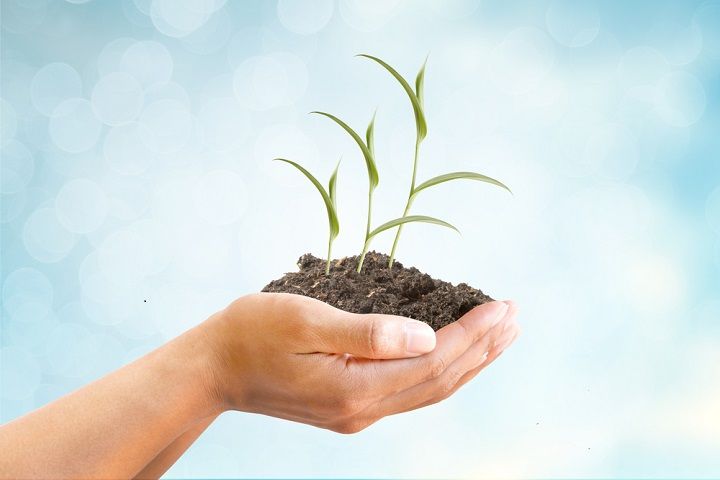 Planting Opportunities (Image Courtesy: Shutterstock)