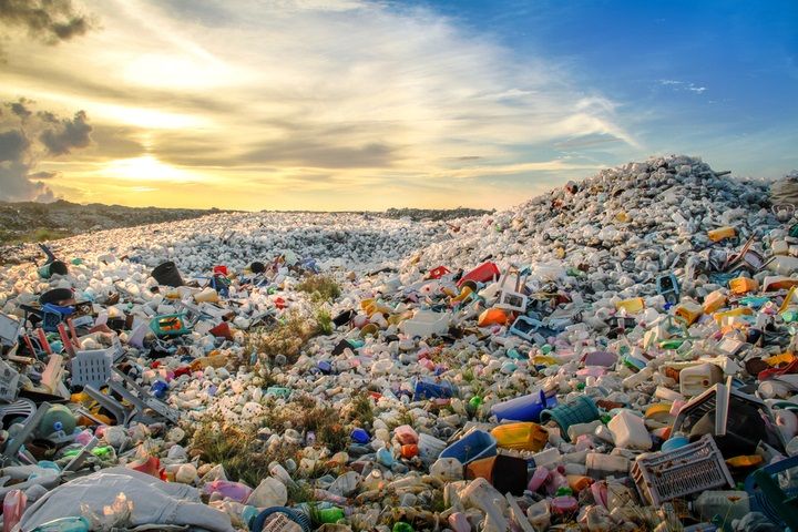 Plastic Disposal (Image Courtesy: Shutterstock)