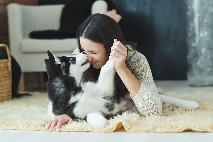 Woman Playing With Her Dog (Image Courtesy: Shutterstock)