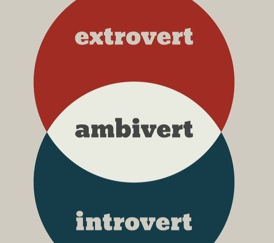 How I Figured Out I’m An Ambivert &#038; What It Means To Be One