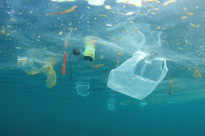 10 Ways To Reduce The Use Of Plastic In Your Life