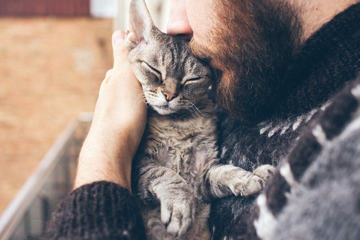 Man Cuddling A Cat (Image Courtesy: Shutterstock)