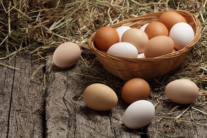 Eggs (Image Courtesy: Shutterstock)