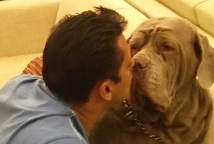 Salman Khan’s Gets Emotional As His Dog Passes Away
