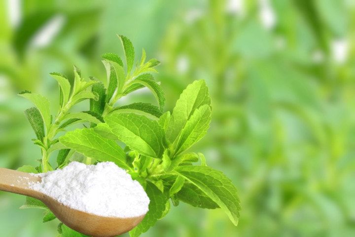 Stevia Leaves (Image Courtesy: Shutterstock)