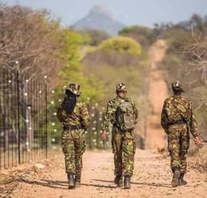 Meet The Black Mambas—The First-Ever All-Women Anti-Poaching Unit In South Africa