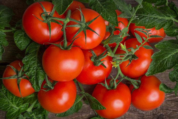 Tomatoes By Bogachyova Arina | www.shutterstock.com