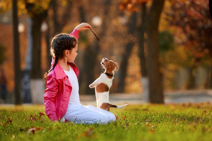 8 Most Suitable Dog Breeds For Families With Small Kids