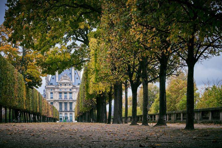 Jardin des Tuileries By Francesco Cantone | www.shutterstock.com