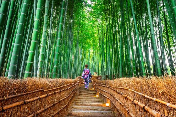 Sagano Bamboo Forest, Kyoto Prefecture By Guitar photographer | www.shutterstock.com