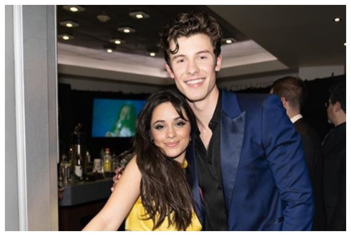 Shawn Mendes Gets A Butterfly Tattoo And Fans Cannot Help But Find A Camila Cabello Connection