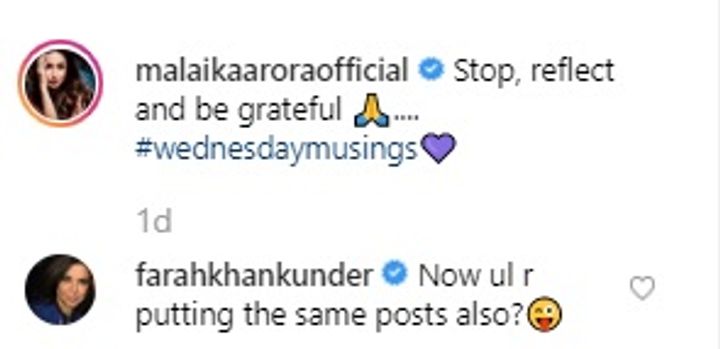 Farah Khan's comment on Malaika Arora's post (Source: Instagram | @malaikaaroraofficial)
