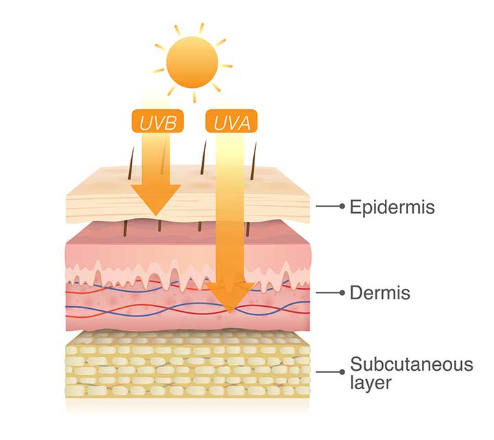 UVA & UVB rays (Source: Shutterstock)