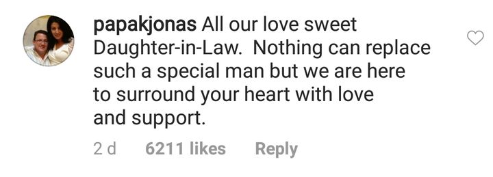 Paul Kevin Jonas' comment on Priyanka Chopra's picture (Source: Instagram | @priyankachopra)