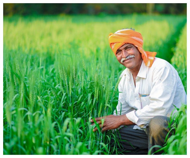 Indian Farmer (Source: www.shutterstock.com)