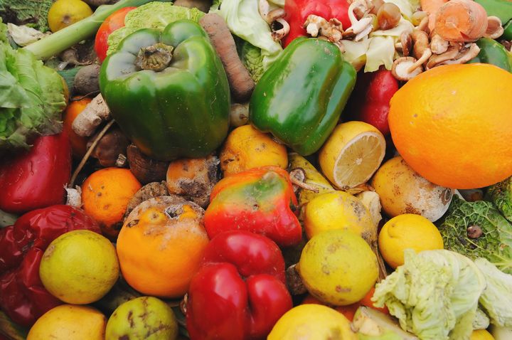 Rotten Vegetables By StockCube | www.shutterstock.com