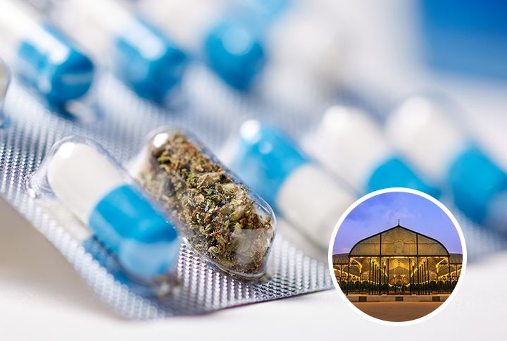 India’s First Medical Cannabis Clinic Is Set To Open In Bangalore