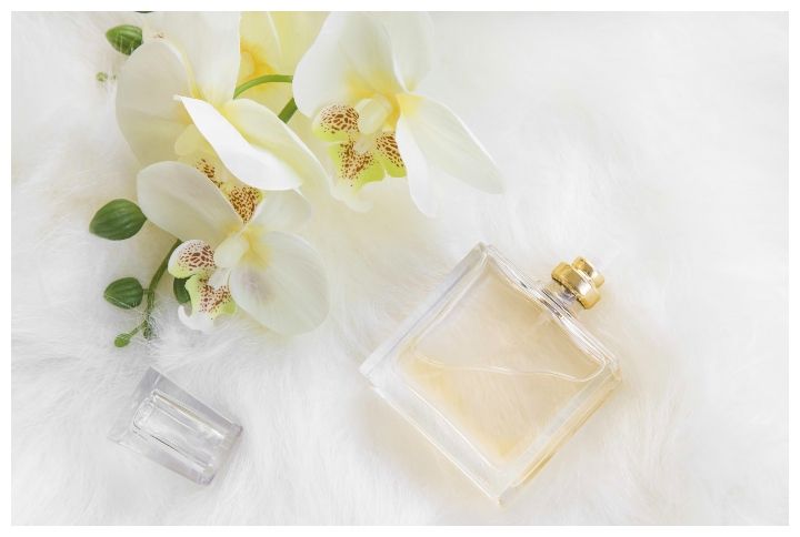 5 Jasmine Based Perfumes That Are Perfect For Any Occasion
