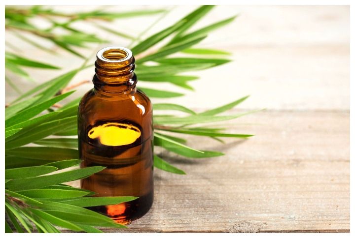 5 Tea Tree Oil Products That’ll Keep Acne and Dandruff At Bay