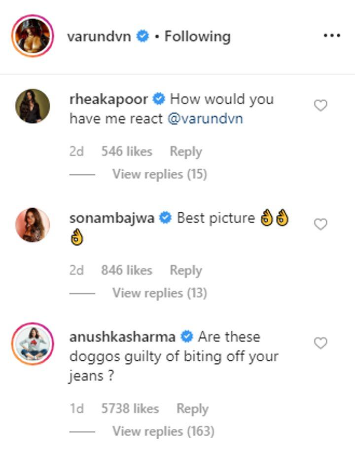 Anushka Sharma's comment on Varun Dhawan's picture (Source: Instagram | @varundvn)