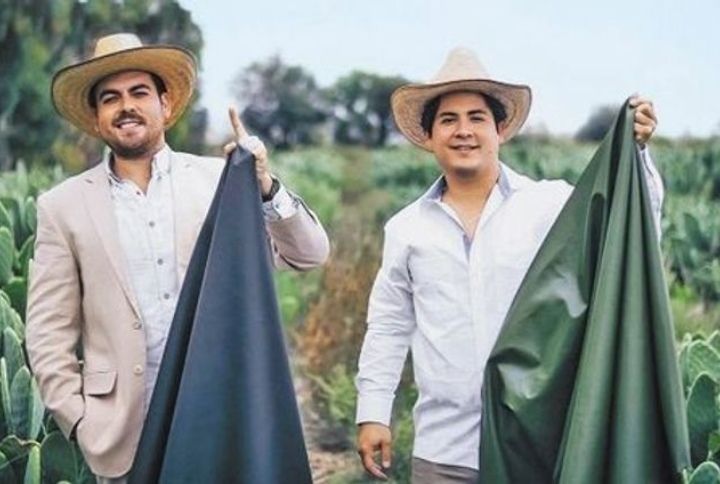 Cactus Leather—A New Sustainable Fabric You Need To Know About