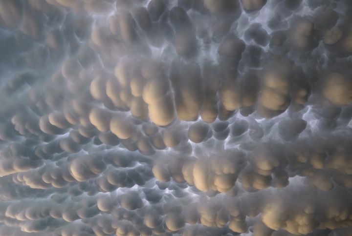 Mammatus Clouds By Menno van der Haven | www.shutterstock.com