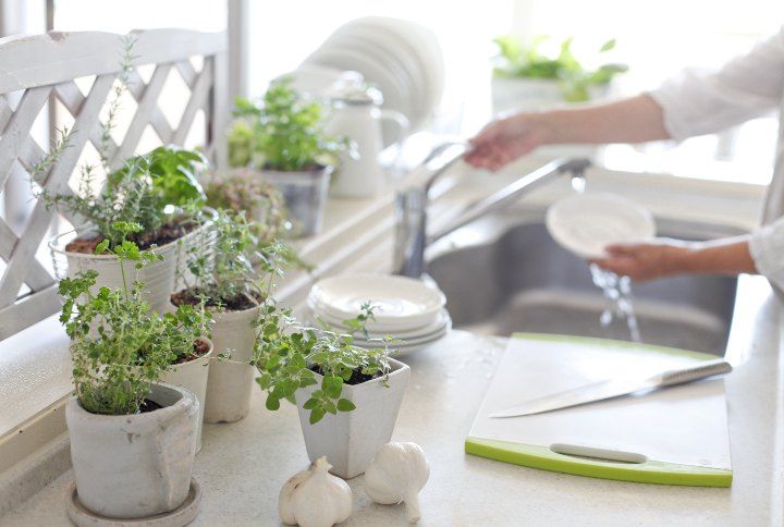 Kitchen Garden By kazoka | www.shutterstock.com