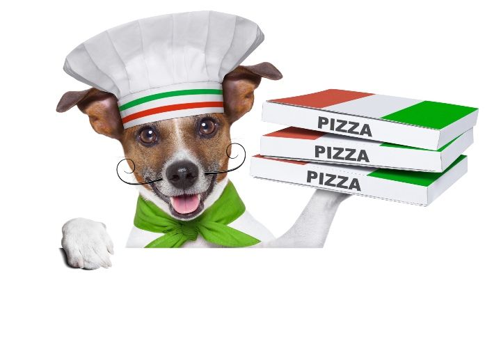 pizza delivery dog with a stack of pizza boxes on a blank placard By Javier Brosch | www.shutterstock.com