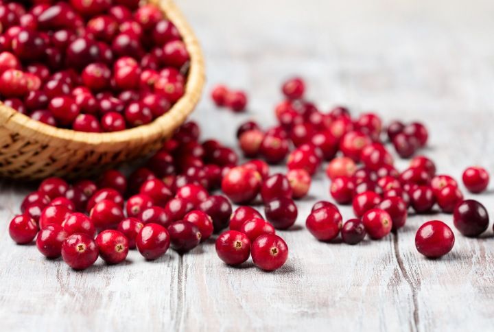 Cranberries By Julia Metkalova | www.shutterstock.com