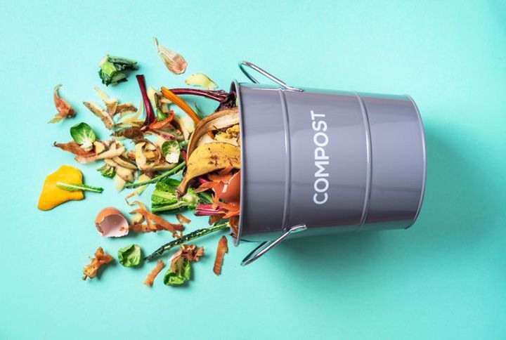 A Beginner’s Guide To Composting For Green-Thumb Enthusiasts