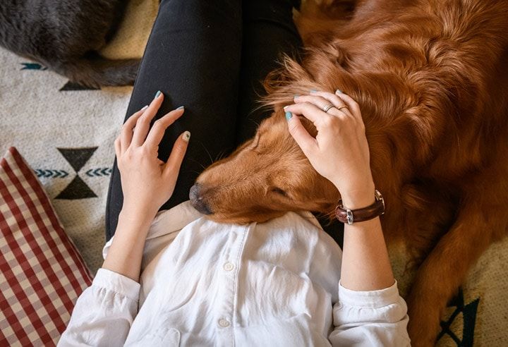 6 Sweet & Easy Ways You Can Show Your Pets You Love Them