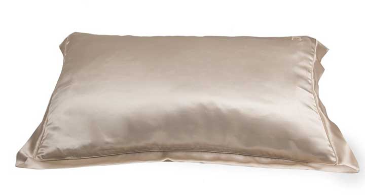 Dame Essentials Silk Pillow (Source: dameessentials)