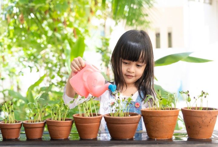 Little Girl Is Watering The Plant In The Pots By Sukjai Photo | www.shutterstock.com