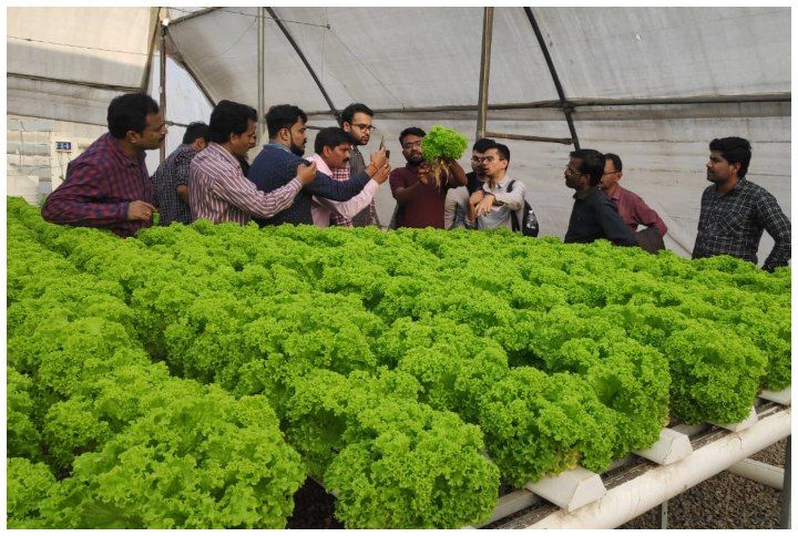 Narsinh With His Fresh Hydroponic Produce