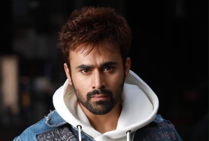 Pearl V Puri Talks About Doing Bold Scenes On Screen